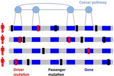 Computational Methods for Characterizing Cancer Mutational Heterogeneity